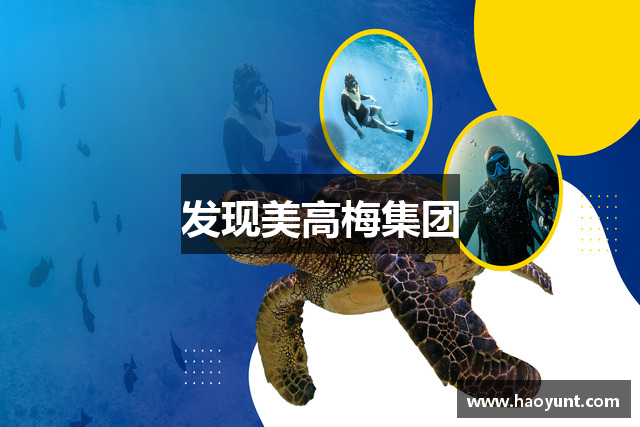 发现美高梅集团
